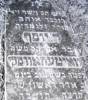 Here lies a man upright, honest, God-fearing,
and respected, loved the Torah and those who
studied it, Reb Yosef [Joseph] son of Abraham Moshe Wojciechowski died with a good name on the second
day of First Adar in the year 5695 [5 February 1935]
May his soul be bound in the bond of everlasting life  
Translated by Sara Mages (smages@comcast.net)